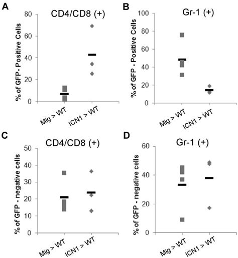 Defective T Cell Development And Myeloid Hyperplasia Are Rescued By