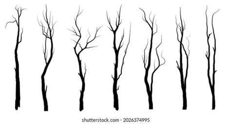 Set Black Branch Tree Naked Trees Stock Vector Royalty Free 1988223596 Shutterstock
