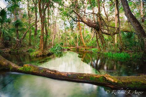 Rainbow River 1 Central Florida - Florida Landscape Photography by ...