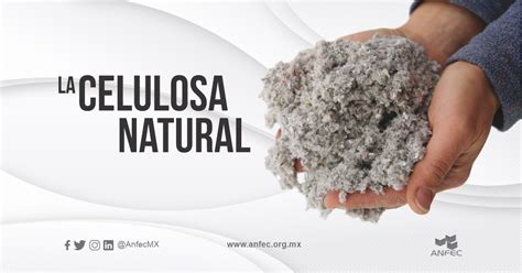 La celulosa natural Asociación Nacional De Fabricantes De Cajas Y