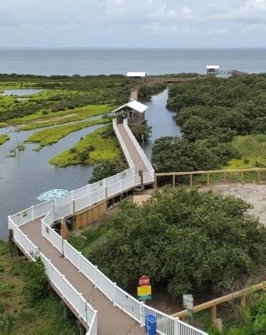 South Padre Island Birding Center - Go Wandering