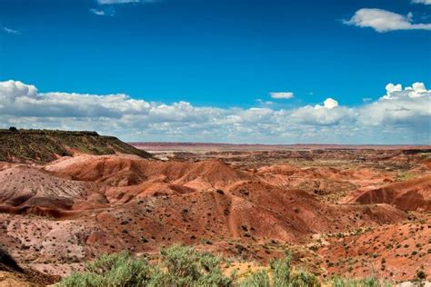 Tripadvisor Selbstgef Hrte Audiotour Durch Den Petrified Forest