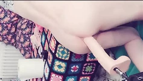 Porcinus Gay Dildo Anale Con Dildo XHamster