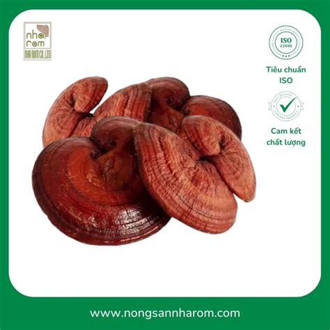 Nấm Linh Chi Sấy Khô - Nông Sản Nhà Rơm