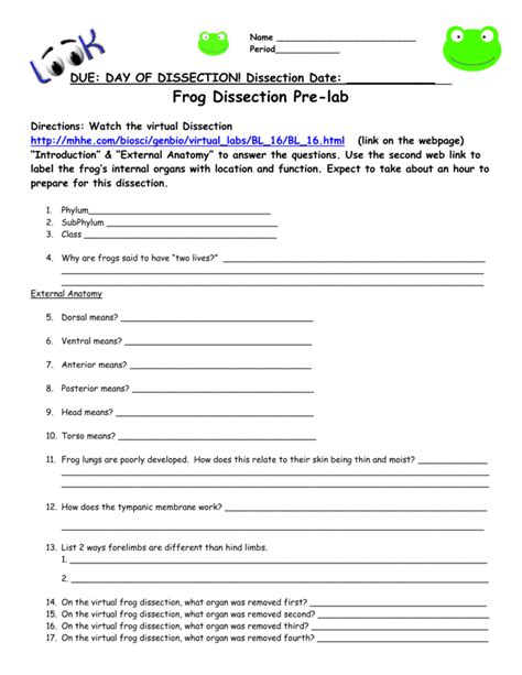 Frog Dissection Worksheet — db-excel.com