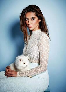 Ileana New Hot Photoshoot Stills Ileana Topless Photos Topless Bollywood Actress South Indian