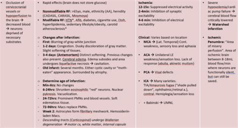 Pathology Flashcards Quizlet