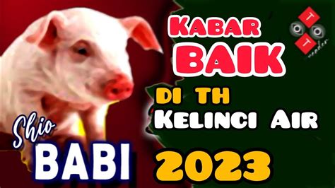 SHIO BABI 2023 KABAR BAIK Untuk Shio BABI Di Tahun 2023 Th Kelinci