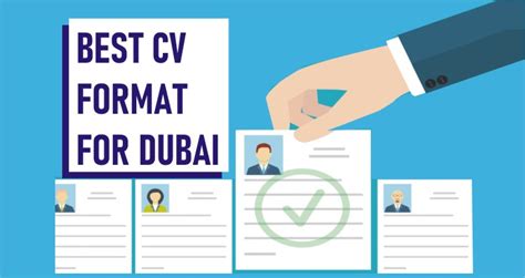 Cv Format For Dubai Best Cv Format For Uae 2024 V Guide