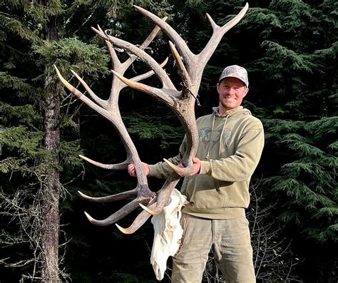 Boone Crockett Club Thinks It Has A New World Record Roosevelt Bull