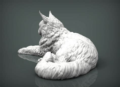 3d File Maine Coon 3d Print Model 🐱・3d Print Design To Download・cults