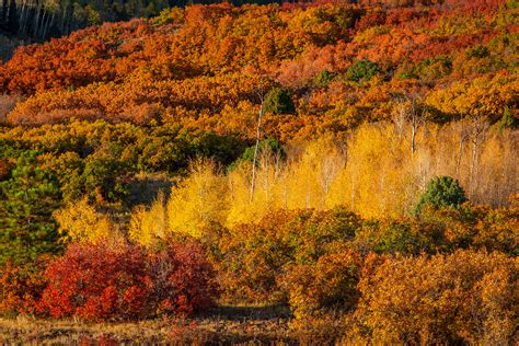 Dallas Divide | Ridgway, Colorado | Tom Kennon Photography