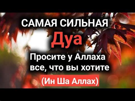 Дуа Просите у Аллаха все, что вы хотите (Ин Ша Аллах) - YouTube