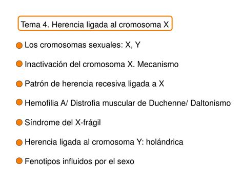 Ppt Tema 4 Herencia Ligada Al Cromosoma X Powerpoint Presentation