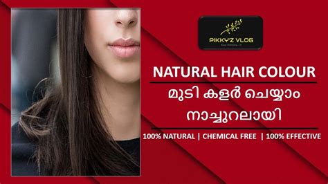 How To Colour Your Hair Naturally At Home 100 Natural And Effective