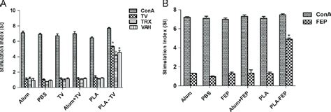 Splenocyte Proliferation Assay In Mice T Cell Proliferation Response