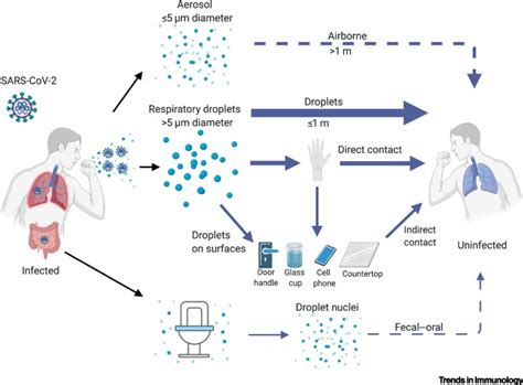 Mechanisms Of SARS CoV 2 Transmission And Pathogenesis Abstract