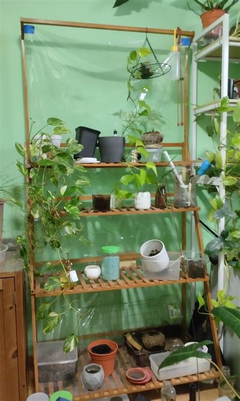 Wooden Plant rack, Furniture & Home Living, Gardening, Pots & Planters on Carousell