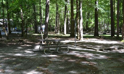 Camperedge Cataloochee Campground 1