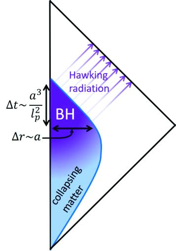 The Penrose Diagram Of The Black Hole In Quantum Theory The Matter