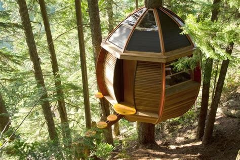 Tree House Pictures Hgtv