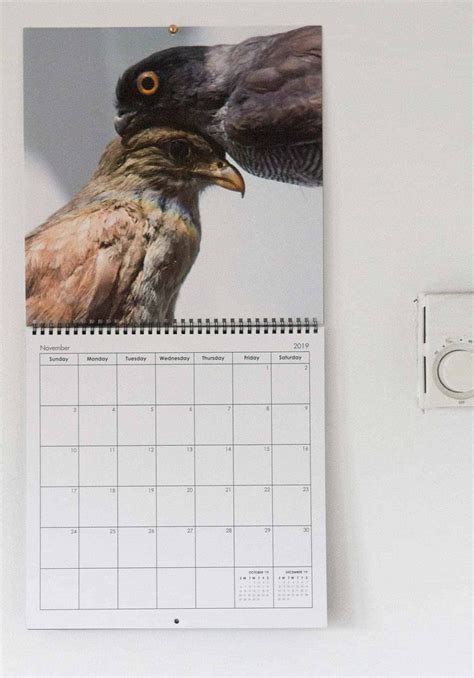 Personalized Photo Calendars for 2021: A Perfect Holiday Gift