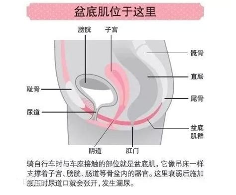 內臟下垂、子宮脫落、漏尿 那些被「網紅束腰」毀掉的女孩 每日頭條