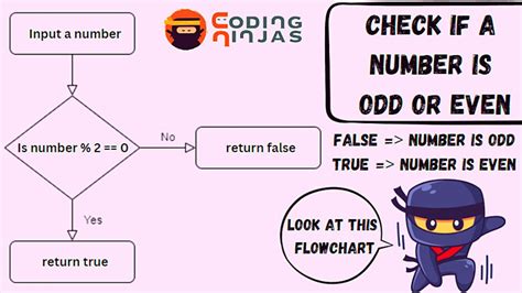 Program To Find If Number Is Even Or Odd In Carbon Coding Ninjas