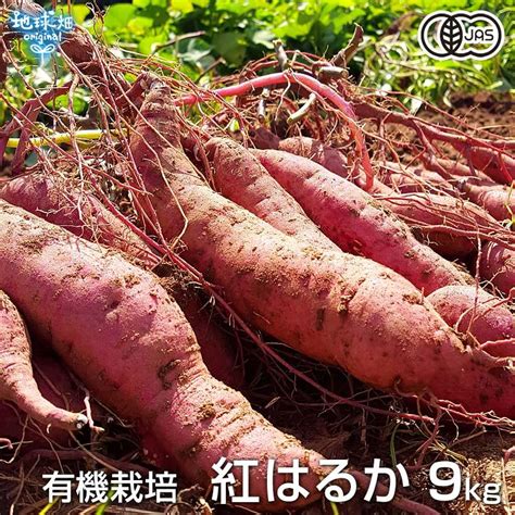 紅はるか 9kg 有機栽培 鹿児島県産 宮崎県産 1本100〜500g 土付 さつまいも 薩摩芋 サツマイモ べにはるか 国産 無農薬