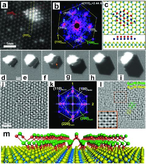 A Adf Stem Image Of A D Pt Nanoflake Epitaxially Grown On Monolayer