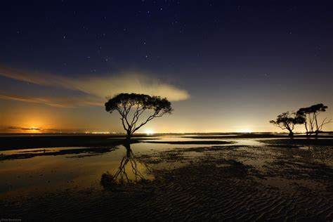 Wallpaper Sunlight Trees Landscape Sunset Sea Water Nature