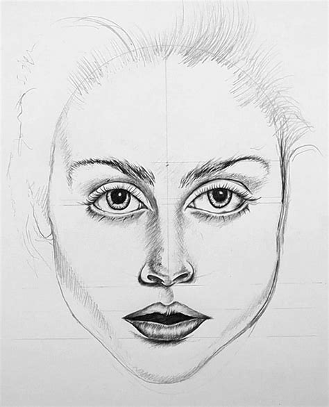 Drawing The Human Face Tips For Beginner Artists Feltmagnet Atelier