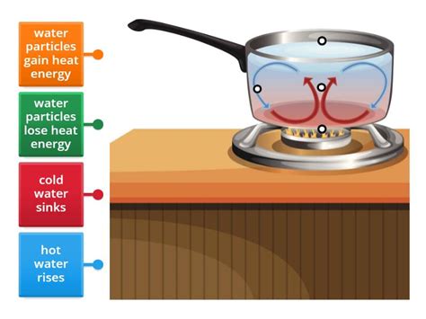 Label the convection diagram - Labelled diagram