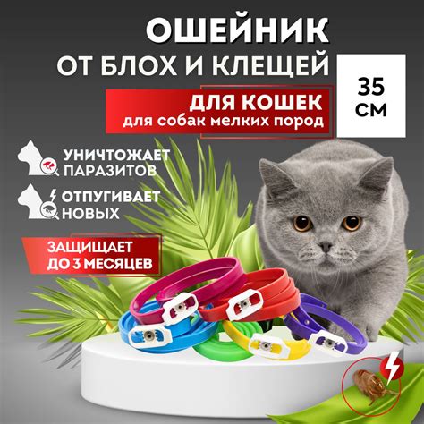 Ошейник от блох и клещей для кошек и собак мелких пород БИО БОТАНИКFOX ...
