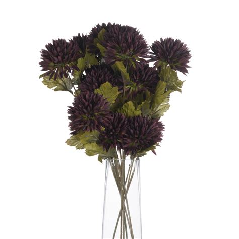 Chocolate Chrysanthemum Wholesale By Hill Interiors