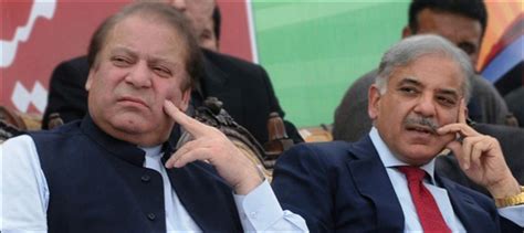 Shahbaz Sharif Other Pml N Leaders Ask Pm Nawaz To Resign Sources