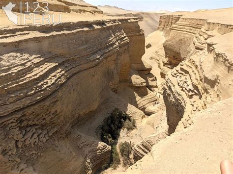 El Cañón de los Perdidos 123 Peru