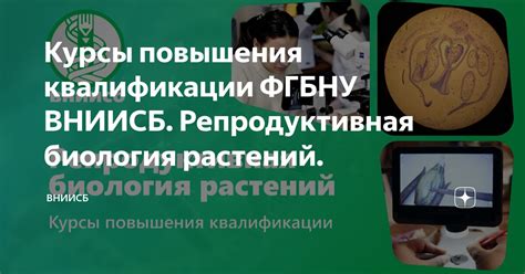 Курсы повышения квалификации ФГБНУ ВНИИСБ. Репродуктивная биология ...