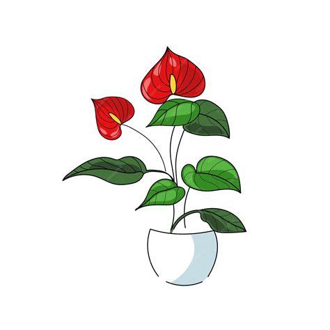 Línea de dibujo de ilustración de arte vectorial con anturio de planta