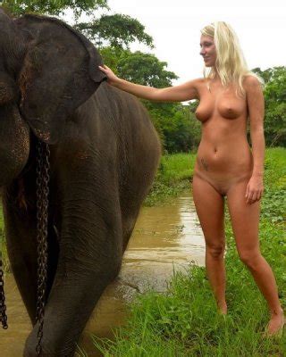 Foreign Girl Nude With An Elephant In Sri Lanka Porn Pictures XXX Photos Sex Images 3752439
