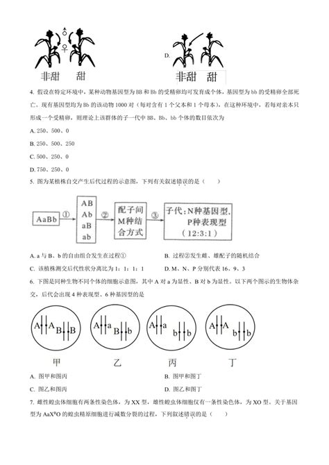 安徽省芜湖市名校2023 2024学年高二上学期开学考试生物学试题（原卷版解析版） 21世纪教育网