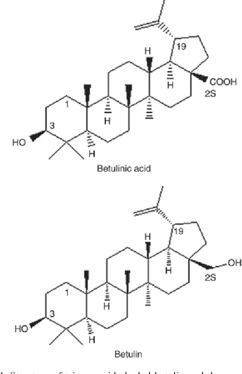 Figure 1 From Betulinic Acid Induced Expression Of Nicotinamide Adenine