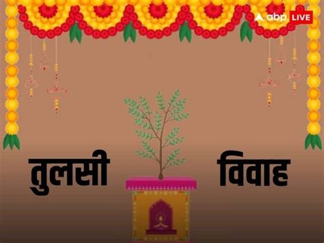 Tulsi Vivah 2023 How To Prepare For Tulsi And Shaligram Vivah Kaise