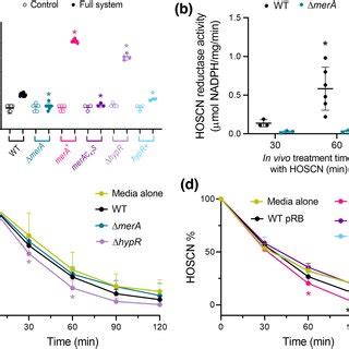 MerA Expression Protects Staphylococcus Aureus From HOSCN Stress