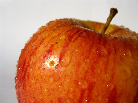 Fresh apple Free Photo Download | FreeImages