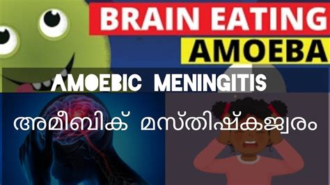 Amoebic Meningitis Amoebic Meningoencephalitisyoutubeytshortsyoutubevideo Youtube