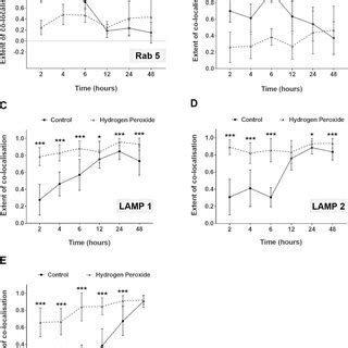 High levels of oxidative stress in RPE cells causes premature ...