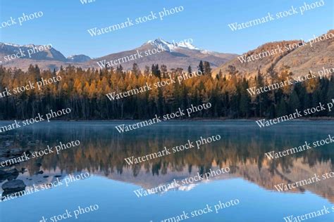 Watermark Maker Create Watermark Online For Free Fotor