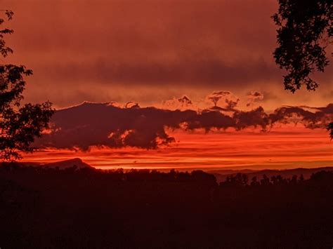 The News-Gazette, Lexington, Va - Home