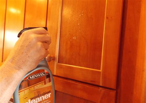 How To Remove Mold In Kitchen Cabinets At Audrey Randy Blog